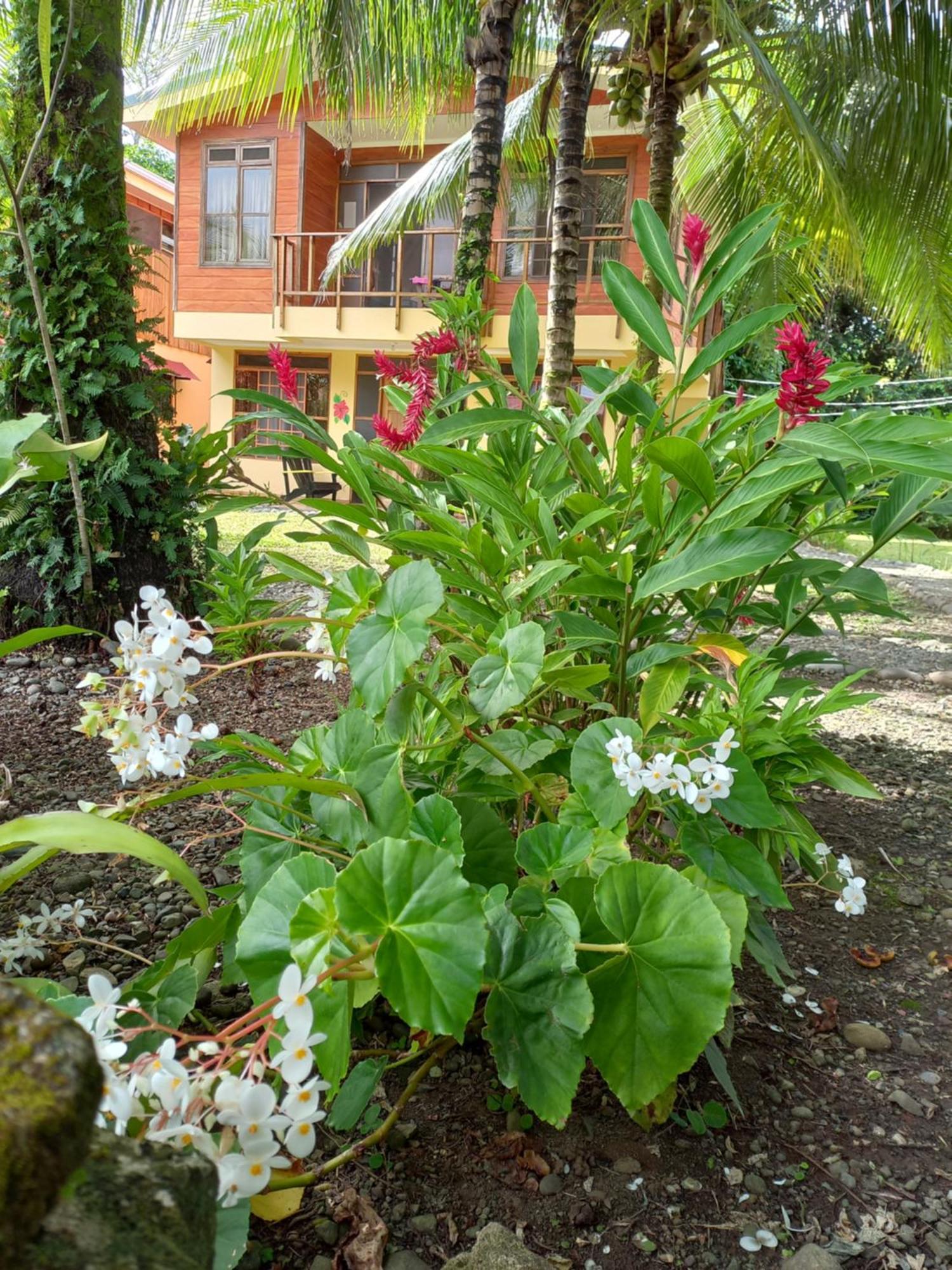 Babilonia Aparthotel Cahuita Exterior photo