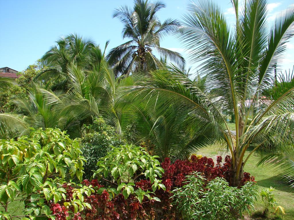 Babilonia Aparthotel Cahuita Room photo