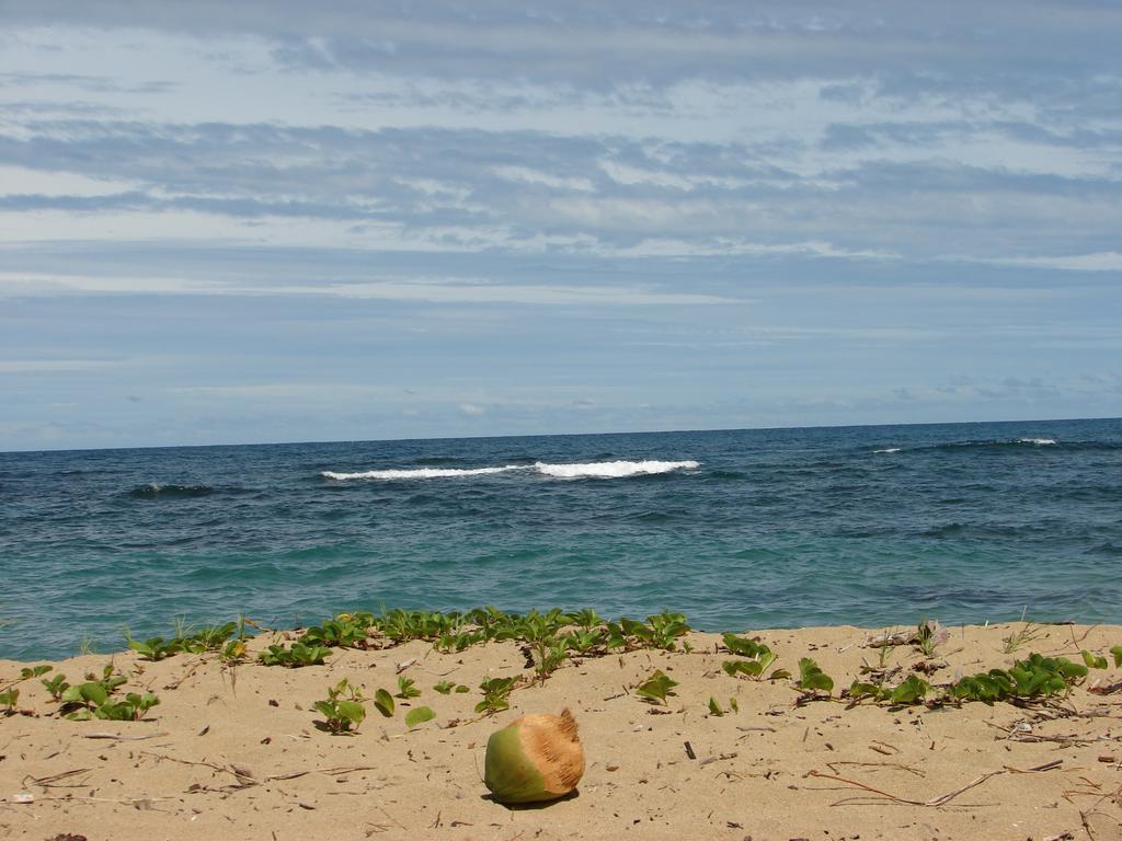 Babilonia Aparthotel Cahuita Exterior photo